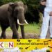 பிரத்தியேக வகுப்பிற்கு சென்ற மாணவன் யானை தாக்குதலுக்கு இலக்காகி வைத்தியசாலையில் அனுமதி!
