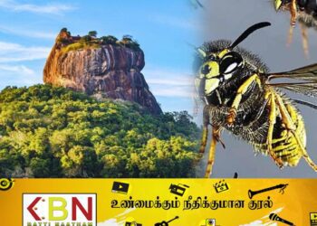 சிகிரியாவில் குளவி கொட்டுக்கு இலக்கான சுற்றுலா பயணிகள் 70 பேர் வைத்தியசாலையில் அனுமதி!