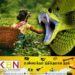 தேயிலை பறித்து கொண்டிருந்த பெண் பாம்பு தீண்டி மரணம்!
