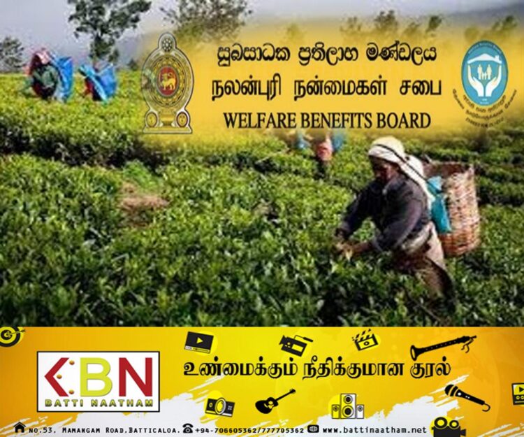 தோட்டத் தொழிலாளர்களை அஸ்வெசுமவில் உள்வாங்க அமைச்சரவை வழங்கியுள்ள அங்கீகாரம்!