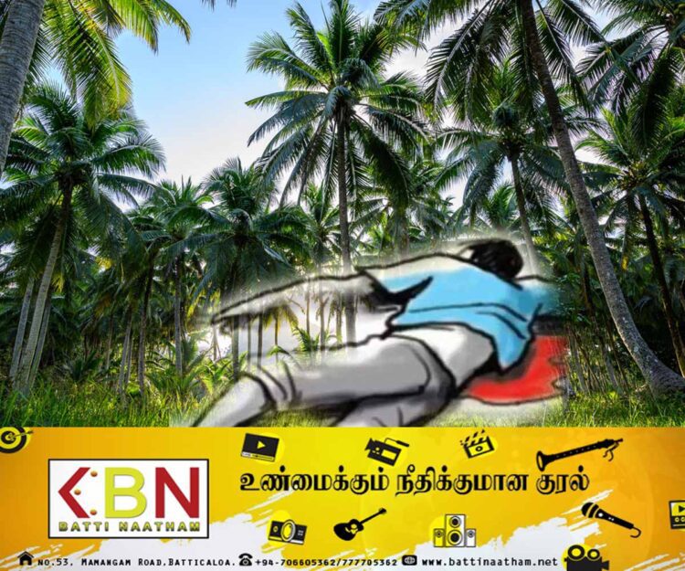 தென்னை மரத்திலிருந்து தவறி விழுந்து ஒருவர் உயிரிழப்பு!