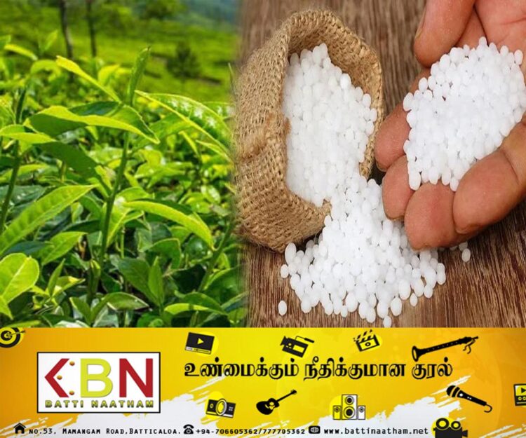 தேயிலைப் பயிர்ச் செய்கைக்கான 5 வகை உரங்களின் விலை குறைப்பு!