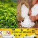 தேயிலைப் பயிர்ச் செய்கைக்கான 5 வகை உரங்களின் விலை குறைப்பு!