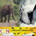 நிந்தவூர் பகுதியில் காட்டுயானை தாக்கி நபர் ஒருவர் உயிரிழப்பு!