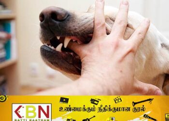 நாட்டில் வெறிநாய்க்கடி நோயினால் மரணங்கள் பதிவு!