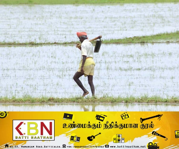 விவசாயிகளுக்கு இலவச உரம்!