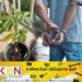 மாடி வீட்டில் கஞ்சா வளர்த்தவர் கைது!