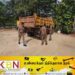 யாழில் சட்டவிரோதமாக மணல் ஏற்றிச்சென்ற இருவர் கைது!