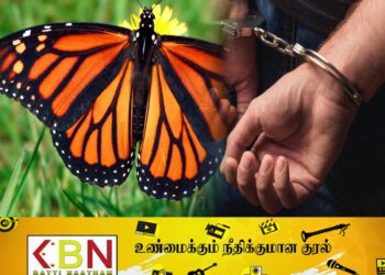பட்டாம்பூச்சிகள் உட்பட அரிய வகை பூச்சி இனங்களை சேகரித்த வெளிநாட்டு பிரஜைகளுக்கு 6 கோடி ரூபாய் அபராதம்!