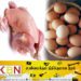 குறைவடையும் கோழி இறைச்சியின் விலை!
