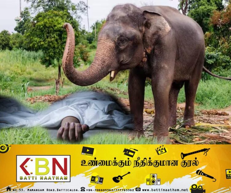 யானைகளை விரட்ட முற்பட்ட இராணுவச் சிப்பாய் உயிரிழப்பு!