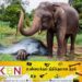 யானைகளை விரட்ட முற்பட்ட இராணுவச் சிப்பாய் உயிரிழப்பு!