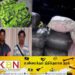 சட்டவிரோத கிருமிநாசினிகளுடன் இருவர் கைது!