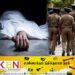 அம்பாந்தோட்டை பகுதியில் ஆண்ணொருவரின் சடலம் மீட்பு!