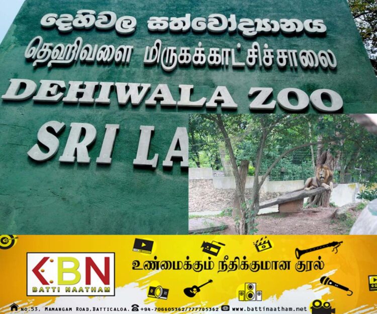 சிறுவர் தினத்தை முன்னிட்டு தெஹிவளை மிருகக்காட்சிசாலைக்கு இலவச டிக்கெட்!