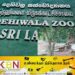 சிறுவர் தினத்தை முன்னிட்டு தெஹிவளை மிருகக்காட்சிசாலைக்கு இலவச டிக்கெட்!