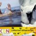 குளத்தில் நீராட சென்ற மாணவன் நீரில் மூழ்கி பலி!