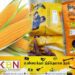 திரிபோஷாக்கான உள்ளீட்டு பொருட்களை இறக்குமதி செய்ய அமைச்சரவை அனுமதி!