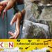 12 இலட்சம் பெறுமதியான கேரள கஞ்சாவுடன் நபர் ஒருவர் கைது!