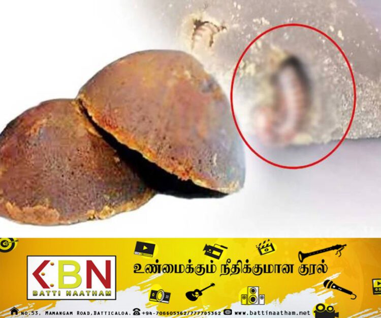 கொழும்பு கடையில் வாங்கிய கருப்பட்டியில் மரவட்டை!