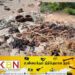 சிதைவடைந்த நிலையில் சடலம் மீட்பு; களுவாஞ்சிகுடியில் நரபலி பூஜையா?