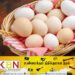 10 ரூபாவால் குறைக்கப்பட்ட முட்டையின் விலை!