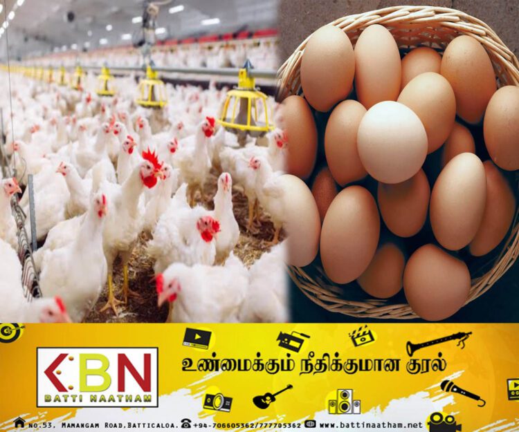 நாட்டில் கோழி இறைச்சி மற்றும் முட்டை உற்பத்தி அதிகரிப்பு!
