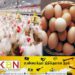 நாட்டில் கோழி இறைச்சி மற்றும் முட்டை உற்பத்தி அதிகரிப்பு!