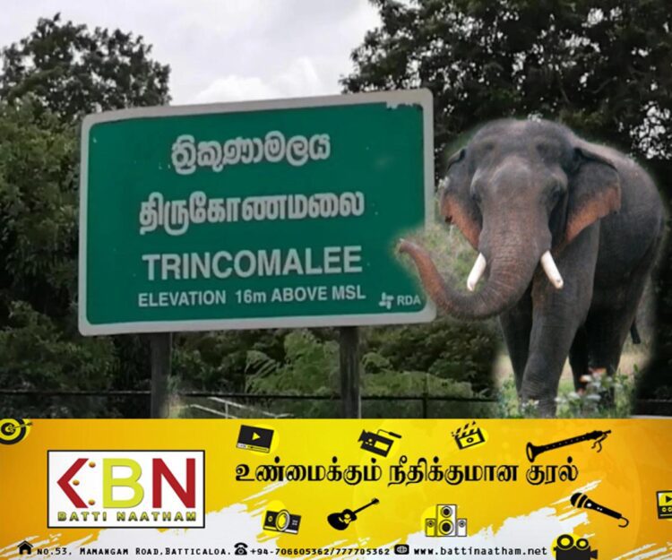 காட்டு யானை தாக்கி பொலிஸ் உத்தியோகத்தர் வைத்தியசாலையில் அனுமதி!