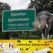 காட்டு யானை தாக்கி பொலிஸ் உத்தியோகத்தர் வைத்தியசாலையில் அனுமதி!
