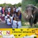 வவுனியாவில் காட்டு யானைகளின் அட்டகாசம்; போராட்டத்தில் ஈடுபட்ட ஊர் மக்கள்!
