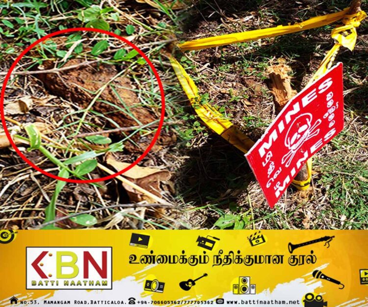 தாண்டிக்குளம் பகுதியில் வெற்று காணி ஒன்றிலிருந்து மோட்டர் குண்டு மீட்பு!