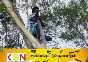 மனைவியுடன் சேர்த்து வைக்குமாறு கணவன் மரத்தில் ஏறி போராட்டம்!