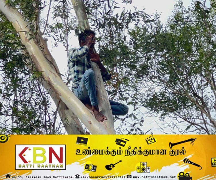 மனைவியுடன் சேர்த்து வைக்குமாறு கணவன் மரத்தில் ஏறி போராட்டம்!
