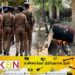 கிளிநொச்சி பகுதியில் கசிப்பு உற்பத்தி செய்த பெண் கைது!