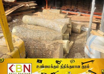 வவுனியா பகுதியில் சட்டவிரோதமாக வெட்டப்பட்டிருந்த மரக்குற்றிகளுடன் நால்வர் கைது!