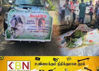 யாழில் வளர்ப்பு நாய்க்கு இறுதிச் சடங்கு!