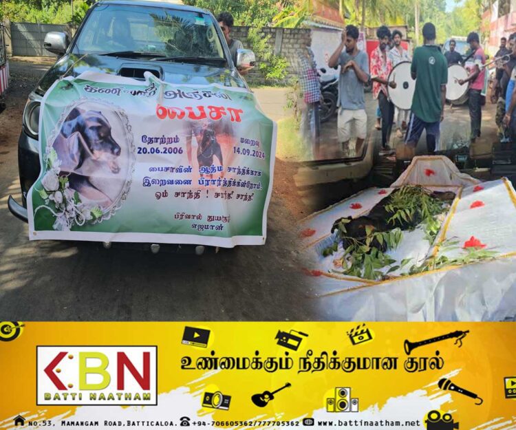 யாழில் வளர்ப்பு நாய்க்கு இறுதிச் சடங்கு!