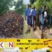 வவுணதீவு காட்டுப்பகுதியில் 25 000 பனவிதைகள் நடும் வேலைத்திட்டம் ஆரம்பம்!