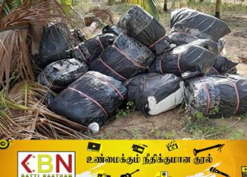 புத்தளம் பகுதியில் கடற்படையினரால் ஒரு தொகை பீடி இலைகள் கைப்பற்றல்!