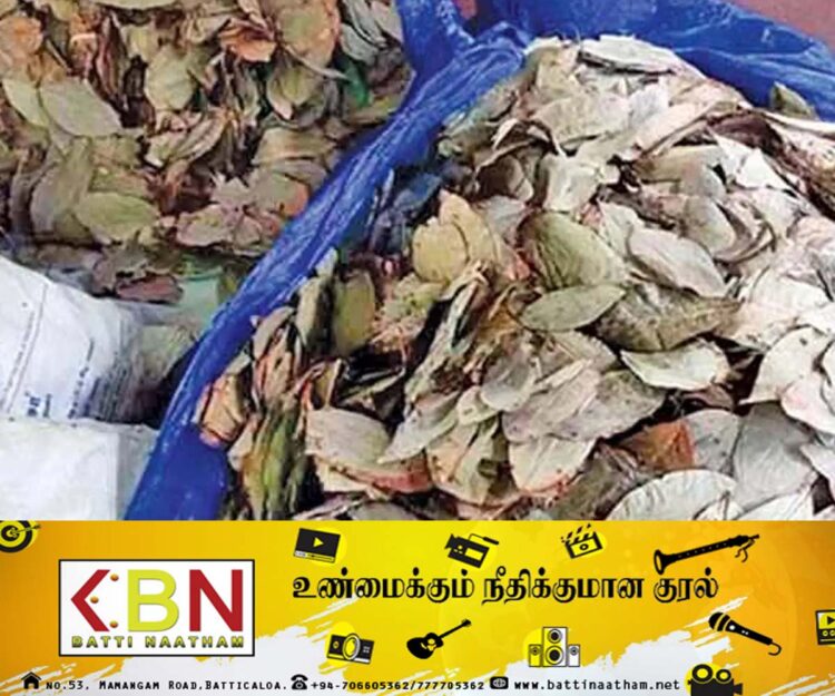 இந்தியாவிலிருந்து கடல் வழியாக இலங்கைக்கு கடத்த முயன்ற பீடி இலைகள் மீட்பு!