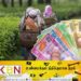 பெருந்தோட்ட தொழிலாளர்களுக்கு 1350 ரூபாய் சம்பளம் வழங்கப்பட்டது！