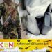 மலசலகூடக் கழிவு நீர்த் தொட்டியிலிருந்து சடலமாக மீட்கப்பட்ட ஓய்வு பெற்ற இராணுவச் சிப்பாய்; தொடரும் விசாரணைகள்!