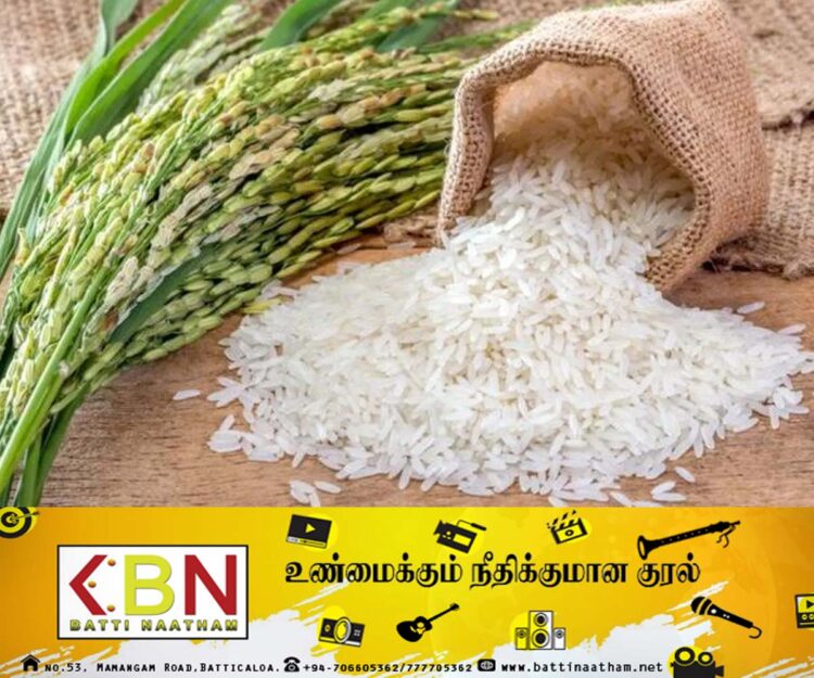 அரசாங்கத்தின் கட்டுப்பாட்டு விலையின் கீழ் அரிசியை வழங்க தீர்மானித்துள்ளதாக அரிசி ஆலை உரிமையாளர்கள் தெரிவிப்பு!