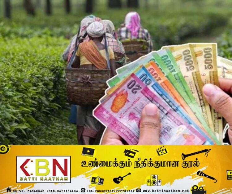 தோட்ட தொழிலாளர்களின் 1700 ரூபாய் சம்பளத்தை நிறுவனங்கள் விரைவில் உத்தியோகபூர்வகமாக அறிவிக்கும்; செந்தில் தொண்டமான் தெரிவிப்பு!
