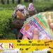 தோட்ட தொழிலாளர்களின் 1700 ரூபாய் சம்பளத்தை நிறுவனங்கள் விரைவில் உத்தியோகபூர்வகமாக அறிவிக்கும்; செந்தில் தொண்டமான் தெரிவிப்பு!