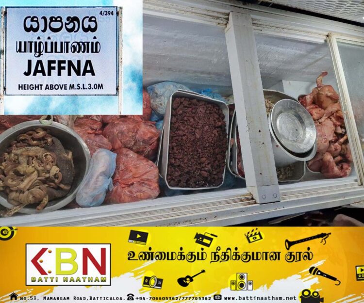யாழில் சுகாதர சீர்கேட்டுடன் இயங்கி வந்த 15 உணவக உரிமையாளர்களுக்கு எதிராக சட்டநடவடிக்கை!