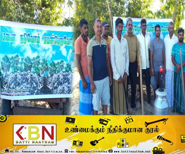 சித்தாண்டி பகுதியில் பனை விதைகள் நடும் நிகழ்வு!