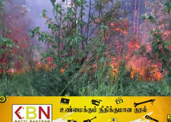 பதுளையில் காட்டுத் தீப் பரவல்!