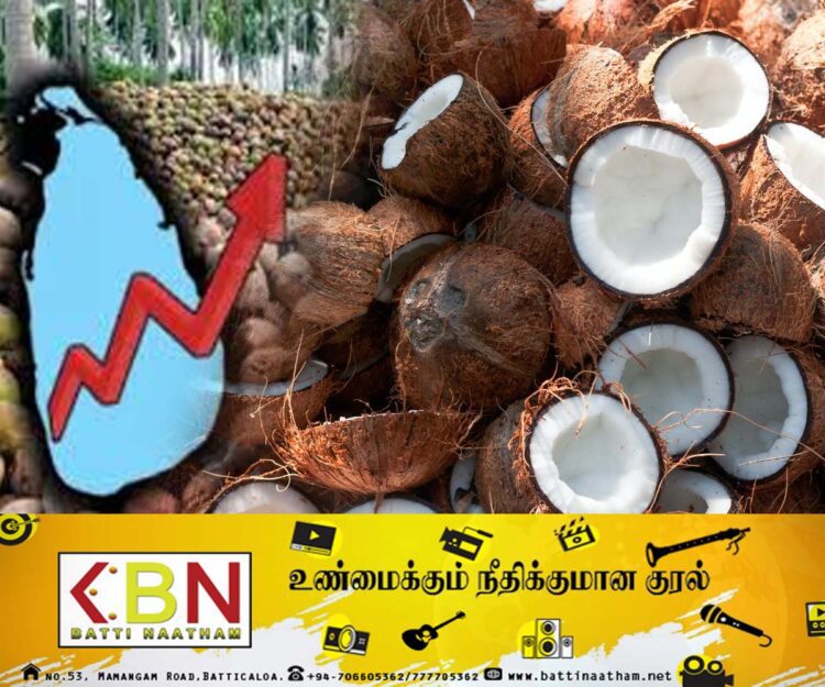 தேங்காயின் விலை அதிகரிப்பு!